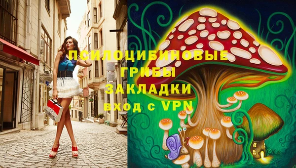 PSILOCYBIN Богородск